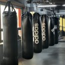 타투 복싱 이미지