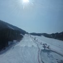 평창군 발왕산. 케이불카. 반제한부부와. 여행을. 더불어. 문막에. 700년된. 은행나무 이미지