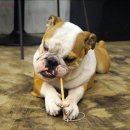 (주)배방써비스센타 이미지