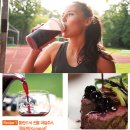 웰빙100세