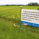 (주) 도담 농업회사법인