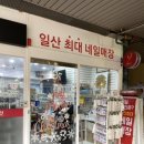 네일9단 이미지