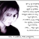 요시키 - 13657 | 요시키