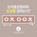 눈의꽃성형외과의원 이미지