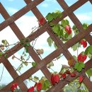 지금이순간 이미지