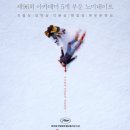 선사진실 | 추락의 해부 (2023) - 진실과 거짓의 경계에서 펼쳐지는 심리 드라마