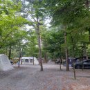 (주)오토테크 | 포천 1박2일 캠핑 [하얀숲 오토&amp;글램핑, 철원 고석정 꽃밭]