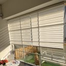 연희도그 이미지