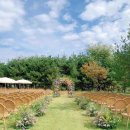 밀드플레 이미지