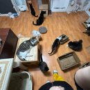 동고동락 | 서울 관악구 유기묘 보호소 봉사 후기 - 길냥이와 동고동락