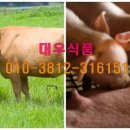 대우식품 - 성동구 | 대우식품