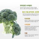 위경화농장 이미지