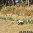 일광뚜꺼비공인중개사사무소 이미지