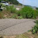 (주)대열레미콘 Daum카페