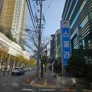 내돈내산 대구영어전문서점 잉글리쉬 플러스 방문후기