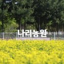 나리테이블