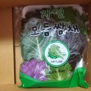 달래농장 | 달래농장 모듬 쌈채소 후기