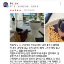 고다시 이미지