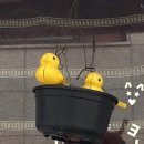 대림장여관 이미지