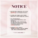 디어룸(DEAR:OOM) | 강아지입양 강아지가격 디어룸에서 만나요!