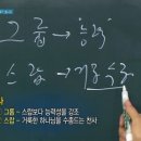 스랍(seraphs) 이미지