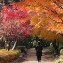 금강공원1 이미지