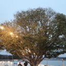 블루펜션 이미지