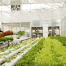 스마트팜 이미지