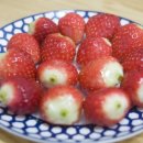 우리농산물 탑마트 이미지