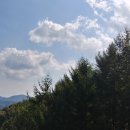 바람구름 Daum카페