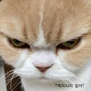 역지사지 이미지