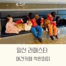 착한퍼피 이미지