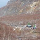 자작나무이야기 이미지