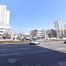 가야시장 Daum카페