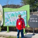 누에길 이미지