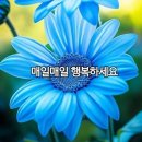 황금봉담자이프라이드시티공인중개사사무소 | 봉담프라이드시티자이 아파트 축제와 행사 등 다양한 먹거리로 분위기 최고였습니다. 👍👍