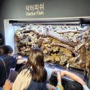 ㈜내외여행사 | 여의도 63빌딩 한화 아쿠아플라넷 유아동반 이용후기 - 주차 &amp; 가격 및 할인