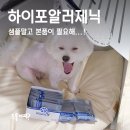 닥터셀케이 | 알러지 강아지도 잘 먹는 사료? 하이포알러제닉, 닥터독 베츠초이스