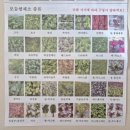 내고향식자재마트 이미지