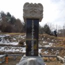 상주 낙화담 소나무 | 대간 12구간 18차 : 백학산 구간 - 중화지구의 속살 상주땅에 들다 (15년)