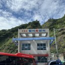 도동활어회센터 | 오징어회 구입 도동항 활어회센터 내돈내산 방문후기 / 울릉도 오징어회센터 / 오징어회 활오징어구매...