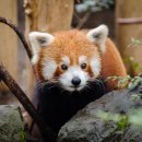 유동물원 이미지