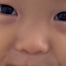 요미아트 이미지