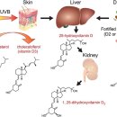 투바디짐 이미지