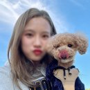 화멍화멍 이미지