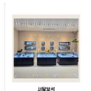 지점 갤러리 광택 | 광주 커플링 결혼반지 서닮보석 신상 디자인 너무 예뻐요😍