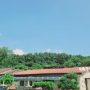 하나골프주 | 👍💖경기 여주 고난이도의 36홀코스를 즐길수있는 솔모로cc골프회원권 명의개서 해드렸어요~