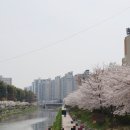삼산초등길 네이버블로그