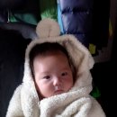 나들이세탁소 이미지