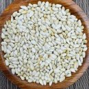 애완상회 이미지